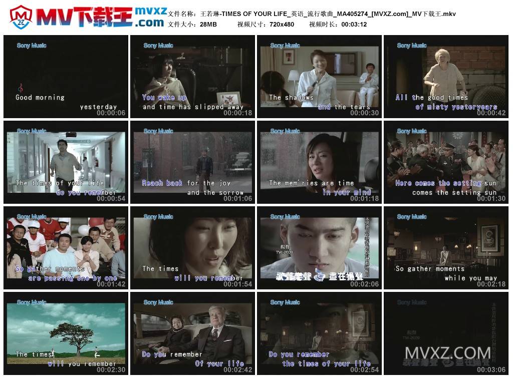 王若琳-TIMES OF YOUR LIFE_英语_流行歌曲_MA405274